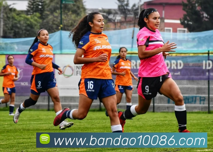 半岛体育品牌故事