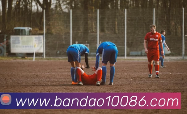 半岛体育服务体系